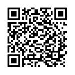 qr-dengen-chronicles