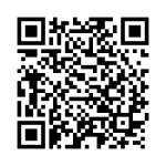 qr-race-illegal-high-speed-3d