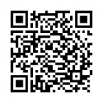 qr-bombcats-se