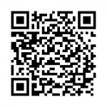 qr-buzz-fly