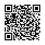 qr-overvolt-crazy-slot-cars