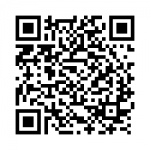 qr-blitz-brigade