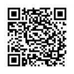 qr-maestro-preview
