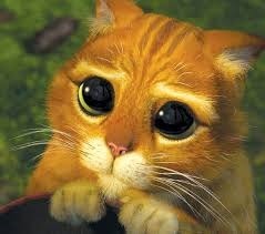 gato-triste
